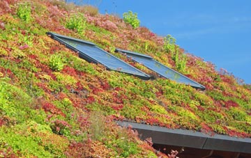Lewiston living roof systems