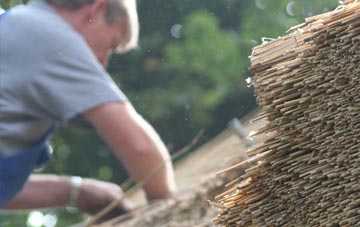 professional Lewiston thatchers