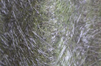 Lewiston fibreglass roof work